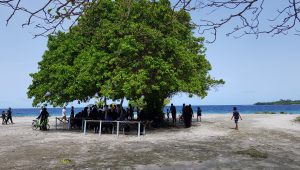 ހއ. ތަކަންދޫގެ ބަޔަކު ރަށުގެ ބޮޑު ގަހުގެ ހިޔަލުގައި މަޑުކޮށްލައިގެން... އަދިވެސް ފޮޓޯ: ސާލިމް