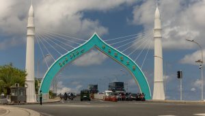 Bridge