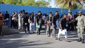 Mndf