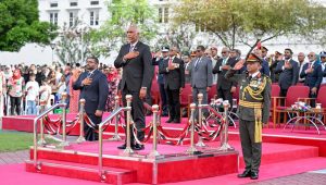 Mndf
