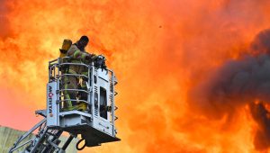 MNDF-Fire-feature