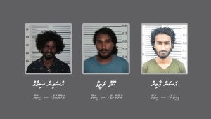 Addu2