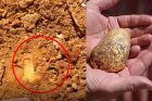 Australia - gold