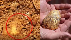 Australia - gold