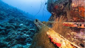 Deep-Sea-Minerals