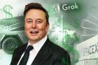 Elon Musk - South Africa