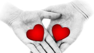 Koadhu