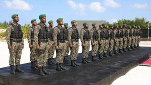 Mndf