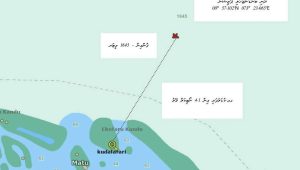Mndf