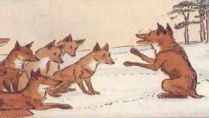 Fox-without-Tail