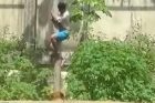 Gerson Machado Brazil Zoo Lioness Leona