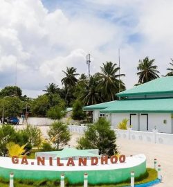 Nilandhu