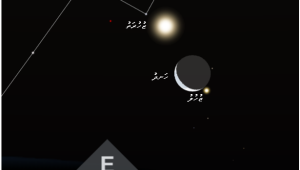 Dhinasha