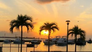 sunrise