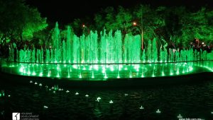 Image (6)