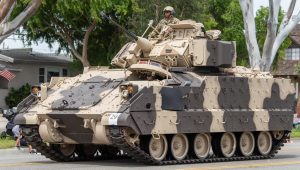 M2_Bradley_06