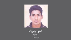 MD-idrish