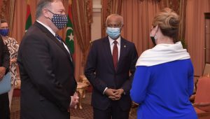 MDV-USA