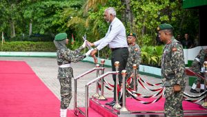 MNDF