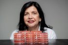 Mariangela Hungria