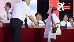 Nanjing University of Posts and Telecommunications - Teleprescence Robots - China