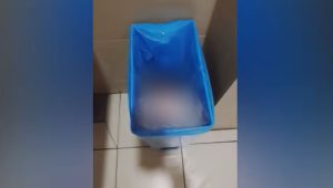 އެއާޕޯޓް ފާހާނާގެ ނަޖިސް ޓައްޕުގައި ކުއްޖާ އޮތްއިރު ކޮށްފައިވާ، މެލޭޝިއާގެ ދަ ސްޓާ ނޫހުން ސެންސަރުކޮށްފައި ވީޑިއޯގެ ސްކްރީންޝޮޓެއް