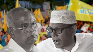 Mdp