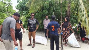 ބޮޑުފޮޅުދޫ ރަށުތެރެ ސާފުކުރުމުގެ ހަރަކާތުގެ ތެރެއިން... -ފޮޓޯ: އާރުބީޖީ ސްޕޯޓްސް
