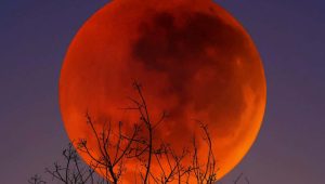 Bloodmoon