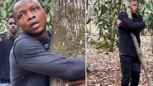 Tree-hugging