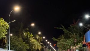 Fenaka