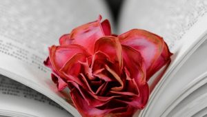 Romantic