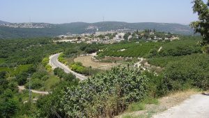 Shomera - Israel