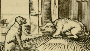 aesop fable dog sow