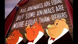 animals