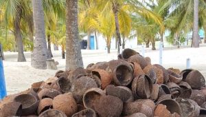 -އަދިވެސް ފޮޓޯ: އަބްދުއްސަމަދު