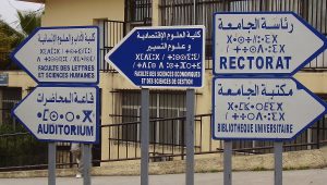berber