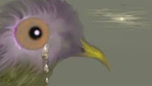 bird
