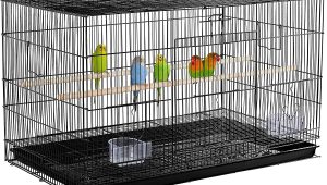 birdcage