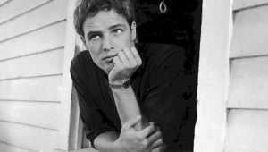 brooding