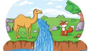 camel