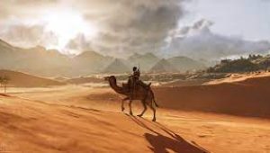 camel