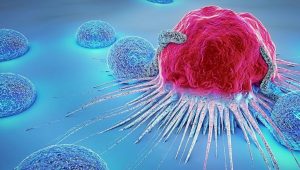 cancer cells