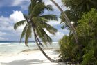 chagos4