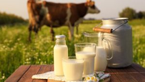 cows-milk