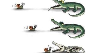 croc