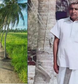 dhivehi