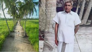 dhivehi