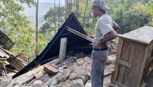earthquake - Flores - Indonesia