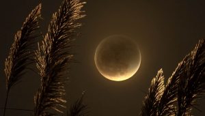 eclipse